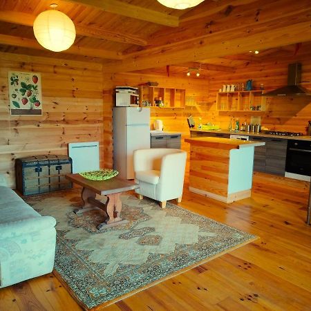 Ferme De La Luciole Villa Champs-Sur-Tarentaine-Marchal Dış mekan fotoğraf